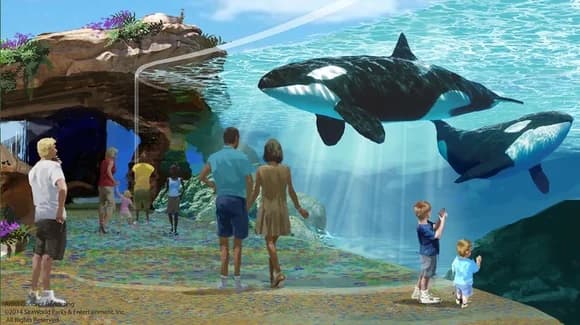 SeaWorld Blue World Project: What Was Planned, What Changed and What You Can See Now
