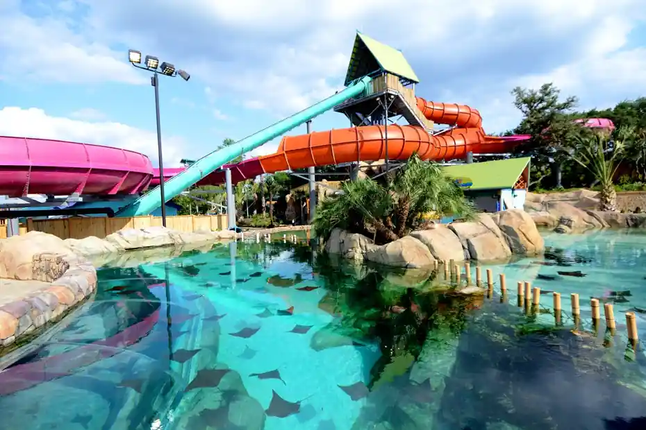 Aquatica Cabana Rental and All Day Dining 2025
