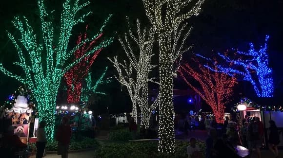 Busch Gardens Christmas Celebrations 2022