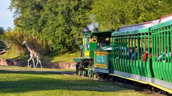Busch Gardens Tampa Bay