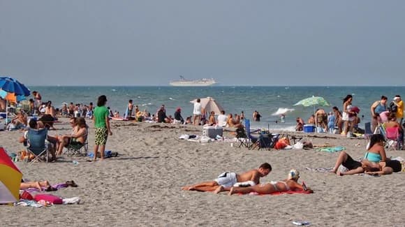 Florida Beach Safety