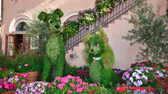 Guide to EPCOT Festivals in 2026