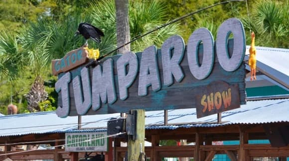 Buying Gatorland Annual Passes in 2026