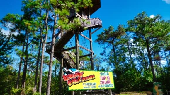 Buying Gatorland Tours and Packages