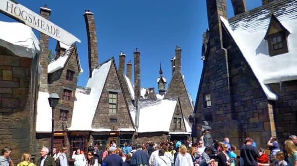 The Wizarding World of Harry Potter