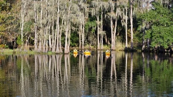 Free Florida Travel Brochures and Guides