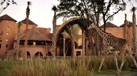 Florida Vacation Clubs