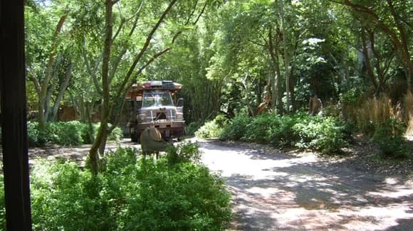 Buying Walt Disney World VIP Tour tickets