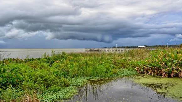Lake Apopka