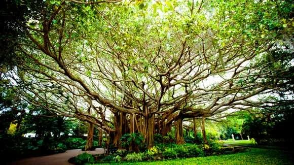 Legoland - Botanical Gardens