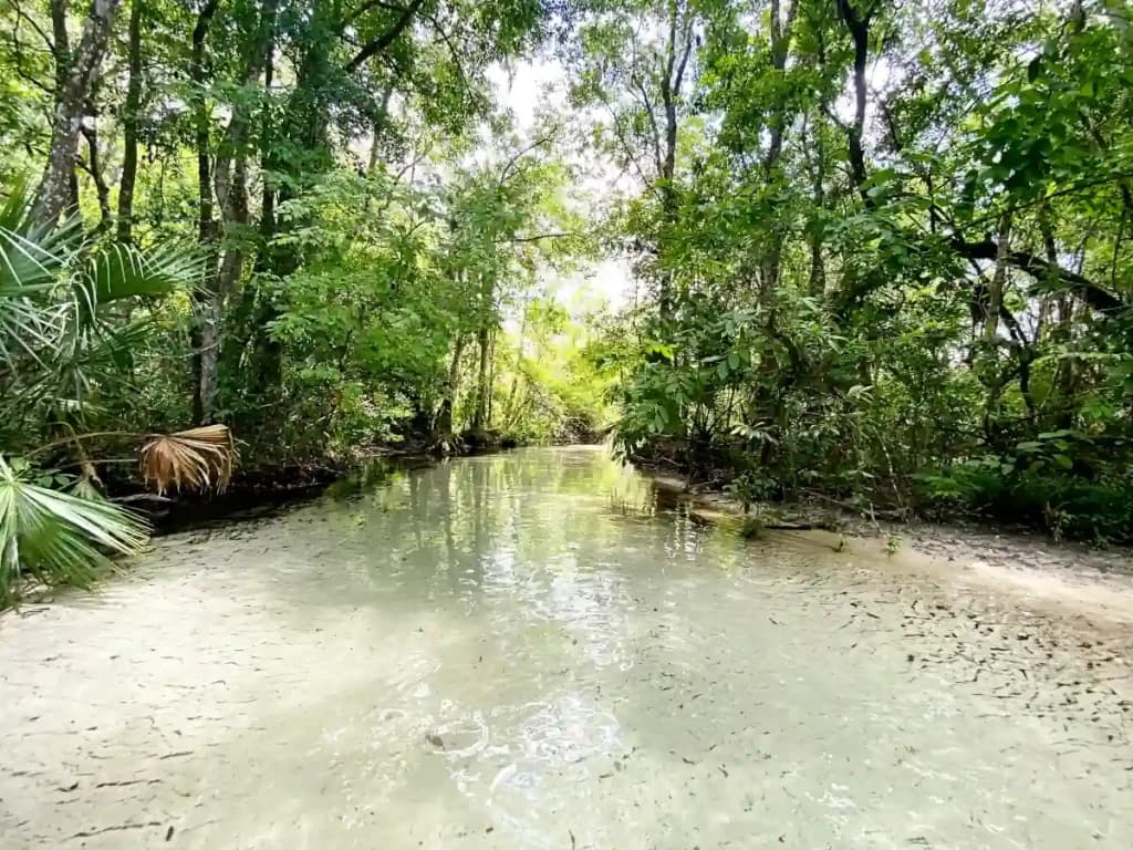 Guidebooks and Maps for Florida Travel