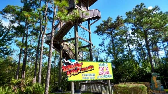 Screamin' Gator Zip Line at Gatorland in 2026
