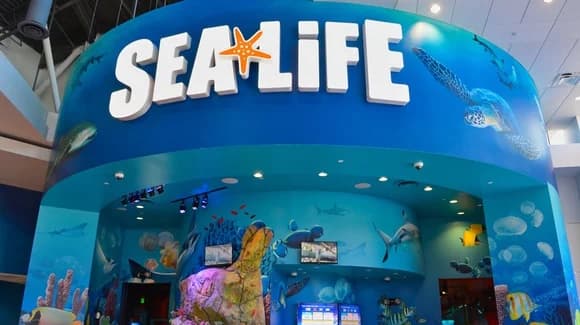 Buying Go Orlando All-Inclusive Pass Tickets