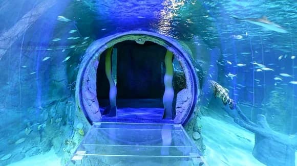 SEA LIFE Orlando Aquarium in 2026: What Is Inside, Prices and Real Value