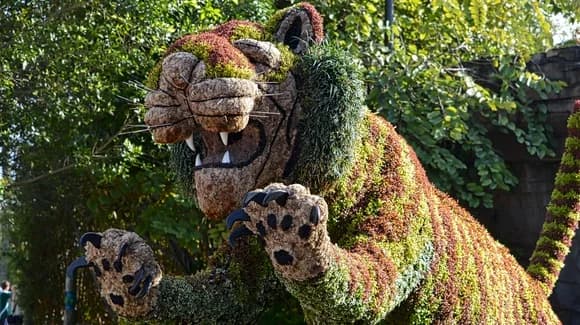 Busch Gardens Tampa Bay Mardi Gras 2026