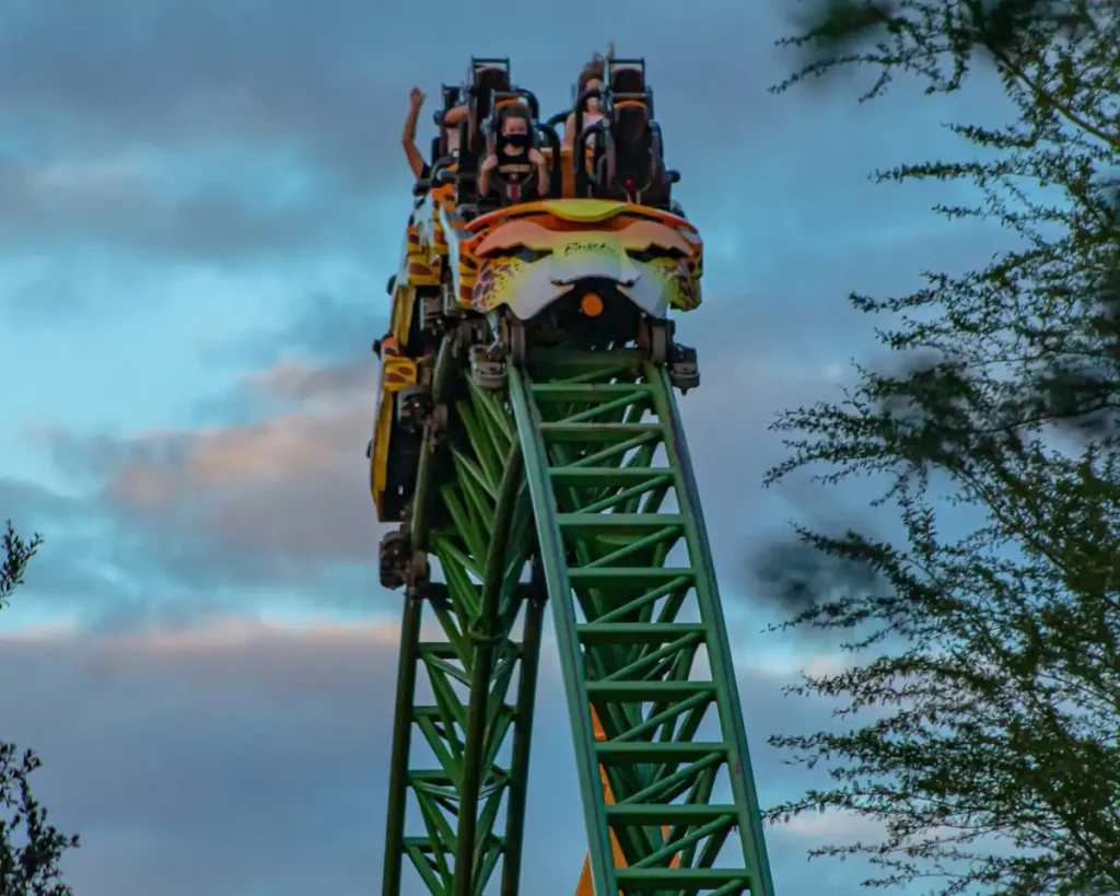 The Cheetah Hunt in Busch Gardens, Tampa Bay