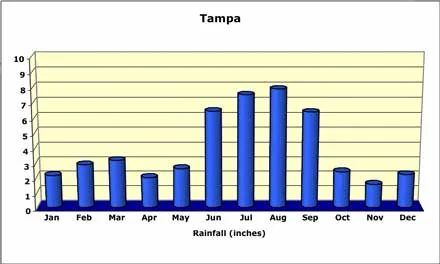 Tampa area rainfall guide