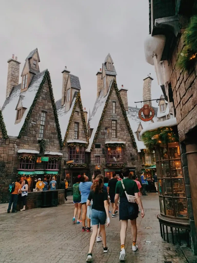 The Wizarding World of Harry Potter- Wizards wonder