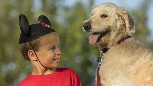 Dogs now welcome at select Walt Disney World  hotels [© Disney. All rights reserved]